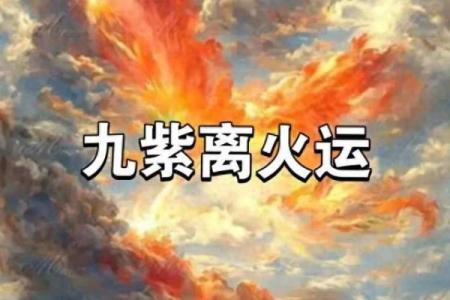 火命属相的颜色探秘：如何通过色彩提升运势与生活品质