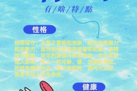 命里缺水，带什么化解？探索水元素的神秘之道！