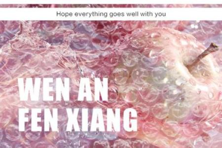 父母对我的深情厚谊，源自爱与责任的交织
