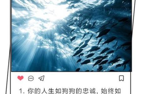 1922年出生的狗年命：忠诚、勇敢与智慧的象征