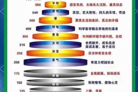 东西四命：命理中的神秘分界与个体人生的启示