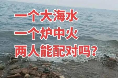 82年出生的你：火命人的命运与运势解析！