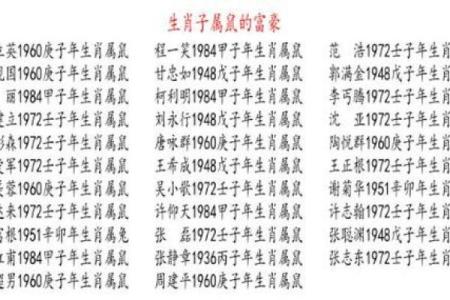 老鼠的命运：生肖鼠的性格与命运分析