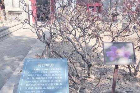 山西的前身——揭开“并州”古称的神秘面纱