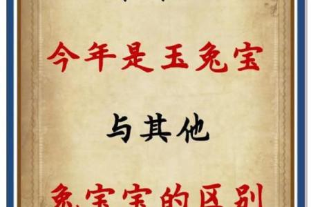 2022兔年出生的宝宝命运解析：幸运与挑战并存的未来之路