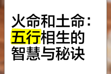 火中金命：探索阳光与坚韧的完美结合