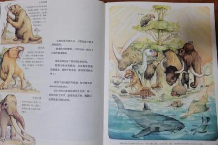 猴人1992命运解析：探索生命的奇妙旅程与机遇