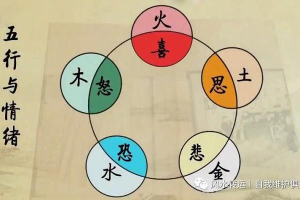 探秘五行：金水命与木命的奥秘与智慧