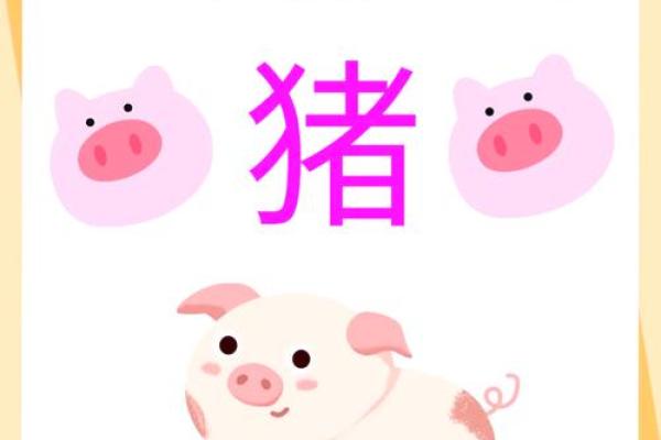 2019年猪年命格解析：如何运用五行提升运势与生活幸福感