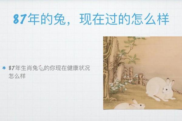 1987年属兔的命格与性格解析：活泼聪慧的兔子在人生中的秘匙