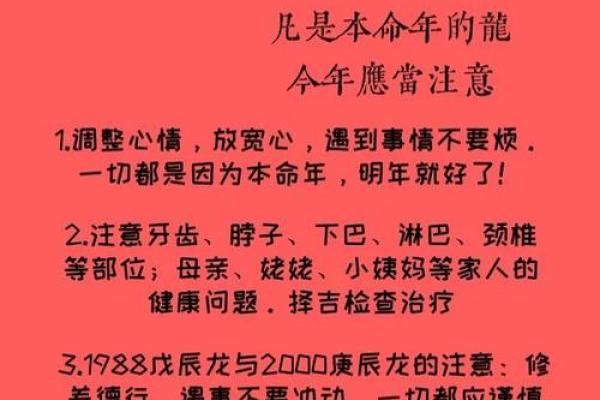2023年龙子命运解析：揭秘你的性格与运势之路