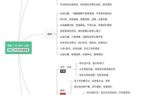 1982年壬戌年：命运与性格的奇妙融合