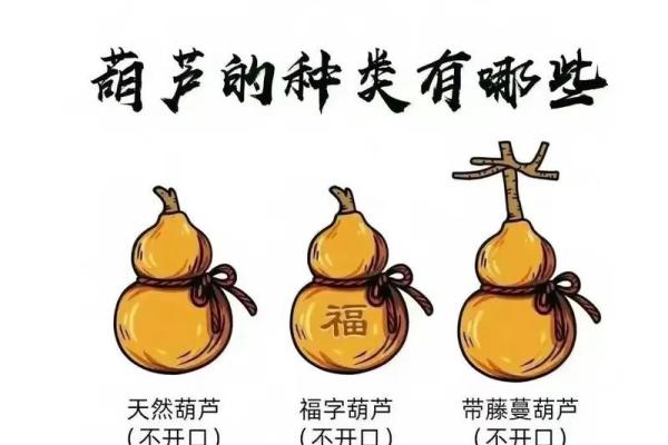 探秘木命的葫芦选择：适合的材质与寓意解析