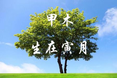 揭秘甲木命最佳佩饰：如何选择吉祥物与饰品？