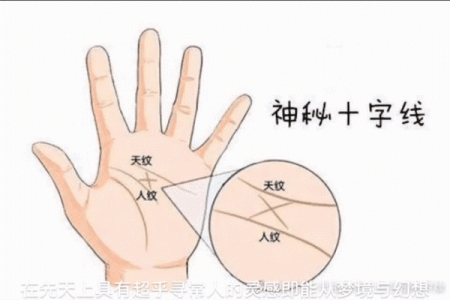 掌纹揭秘：通过手掌分析命运与个性的奥秘
