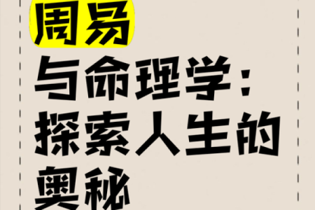 63年12月出生命理解析：探寻命运的奥秘与人生智慧