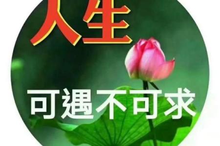命运的轨迹：解码生命中的每一天，由命理看人生的风景