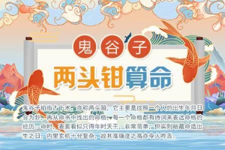 武当秘籍：如何兑换最适合你的命格书