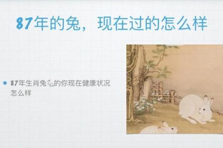 1987年属兔的命格与性格解析：活泼聪慧的兔子在人生中的秘匙