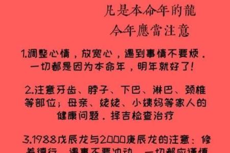 2023年龙子命运解析：揭秘你的性格与运势之路