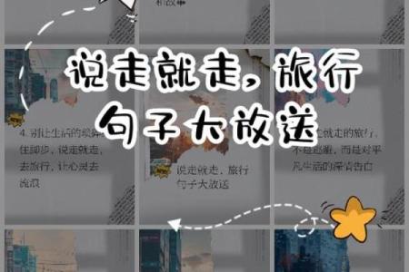 命之星：为何选择逃离自我，追寻未知的旅程