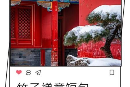 无心和尚的命格解析：禅意人生的深邃与智慧