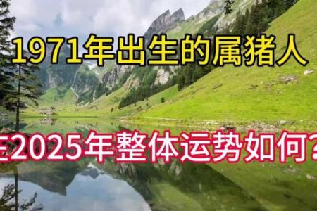 1971年属猪人：福运与命运的深度解析