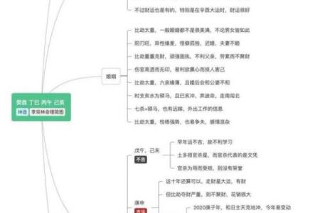 1982年壬戌年：命运与性格的奇妙融合