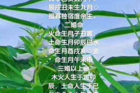 命里没有二婚命，背后的深意与人生抉择