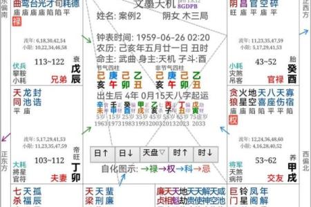 阴历91年出生的人：命理与运势的深度解析