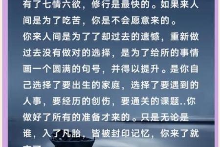 揭秘仙人转世背后的奥秘与人生启示