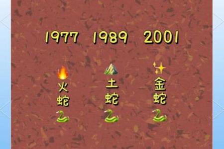 2001年蛇宝宝：神秘而灵动的命运之旅