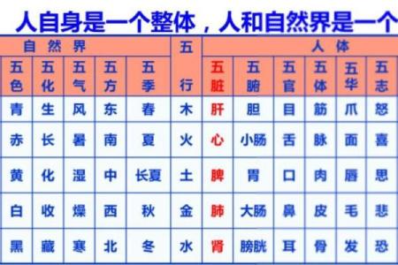 探秘五行命理：四金命格的魅力与特征解析