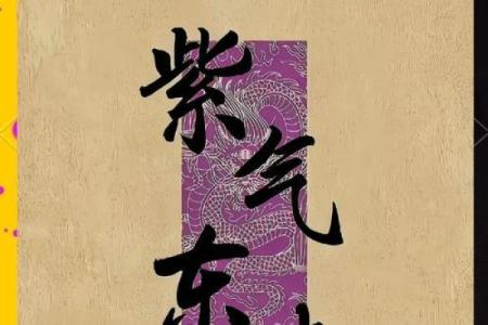 揭开女命6与男命9的神秘面纱，探索命理背后的奥秘与智慧