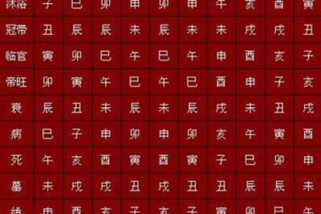 琉璃命柱：探索命理背后的神秘力量与人生指导