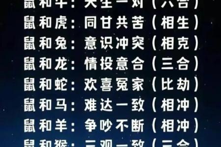 生肖男女相合命理探讨，谁是你的最佳伴侣？