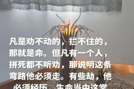 没有孩子的生活：一种自由与选择的命运之道