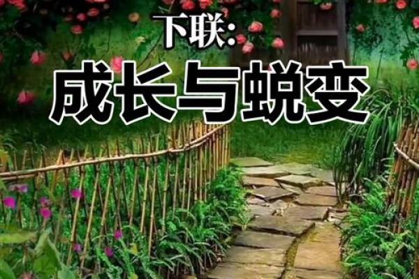 春天出生的人命运解析：春风得意，百花齐放的美丽人生