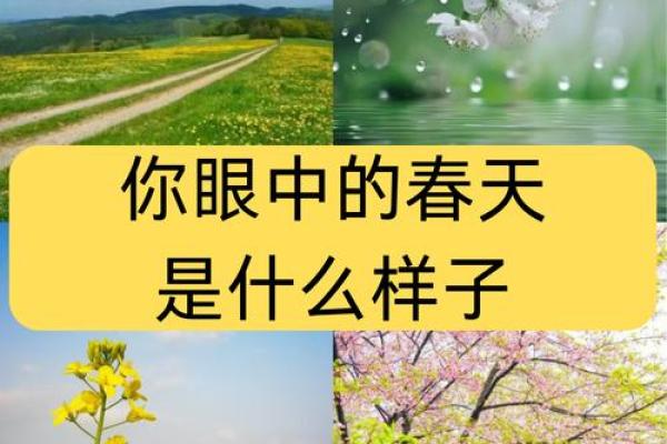 春天出生的人命运解析：春风得意，百花齐放的美丽人生