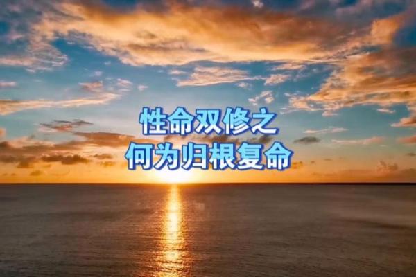 一命两命：探寻生死之谜与生命的哲学思考