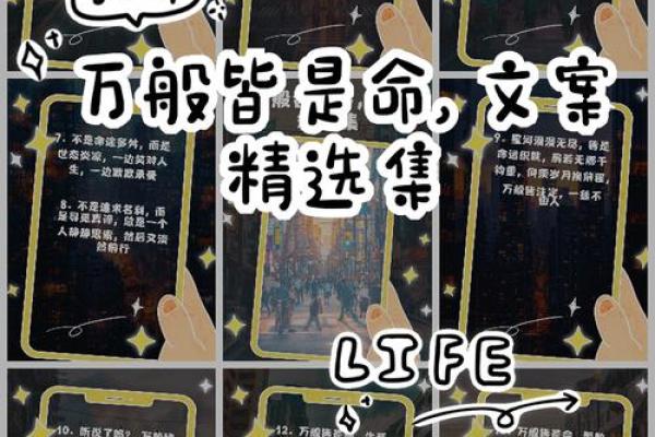 一命两命：探寻生死之谜与生命的哲学思考