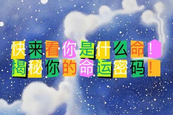 揭秘命理中的“男命2女命4”，了解你的命运密码！