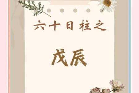 探秘命理：戊辰、癸亥、丙寅、丙申的命运之道