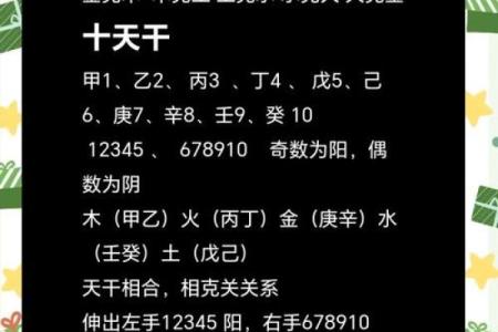 2017年出生的孩子命运解析：五行与成长之道