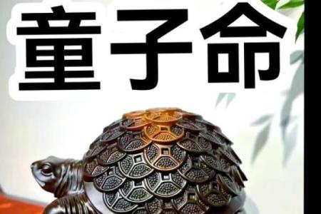 揭秘童子命：他们背后的神秘与奇迹