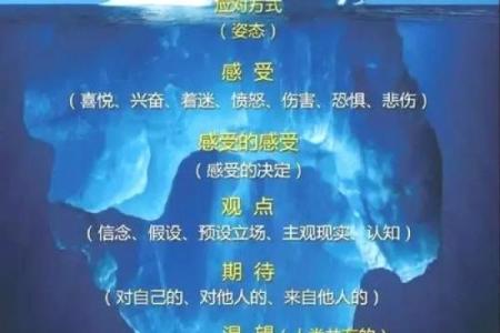 1997年出生者的命运解析：探索他们的性格与人生轨迹