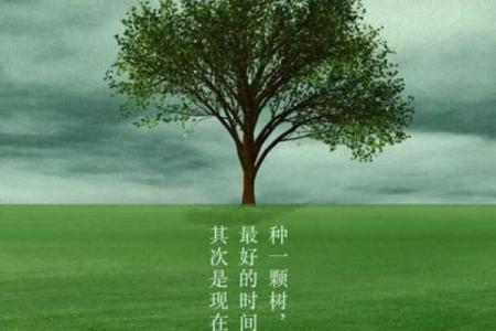 1985年是什么年？探寻1985的命理与流行文化之旅
