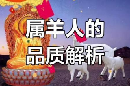 2000属羊人的命运解析：智慧与温情的双重交响曲