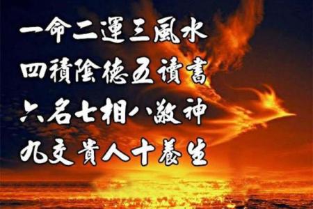 两命还一命：命运的抉择与反思