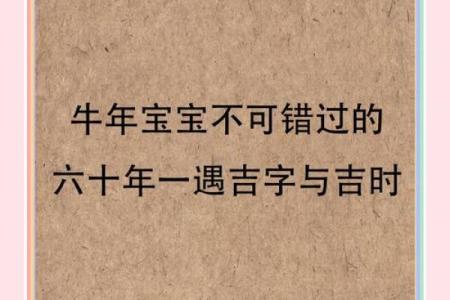1963年出生的牛年命运：揭示性格与运势的神秘之旅
